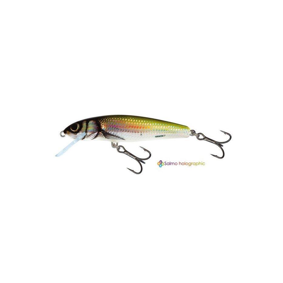 SALMO picture
