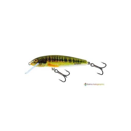 Salmo Minnow flottant 7 cm - 6 g - Holo Real Minnow