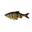 Leurre Souple Savage Gear 4D Line Thru Roach 18cm Slow Sink (Perch)