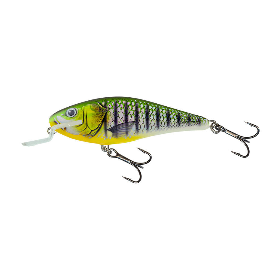 SALMO picture