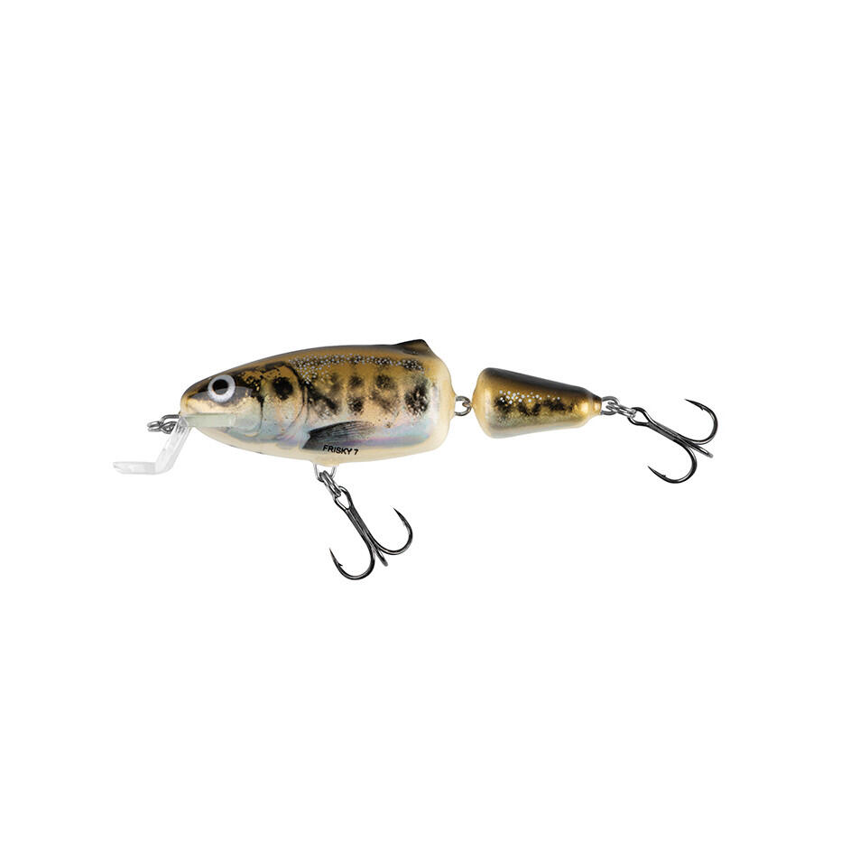 SALMO picture