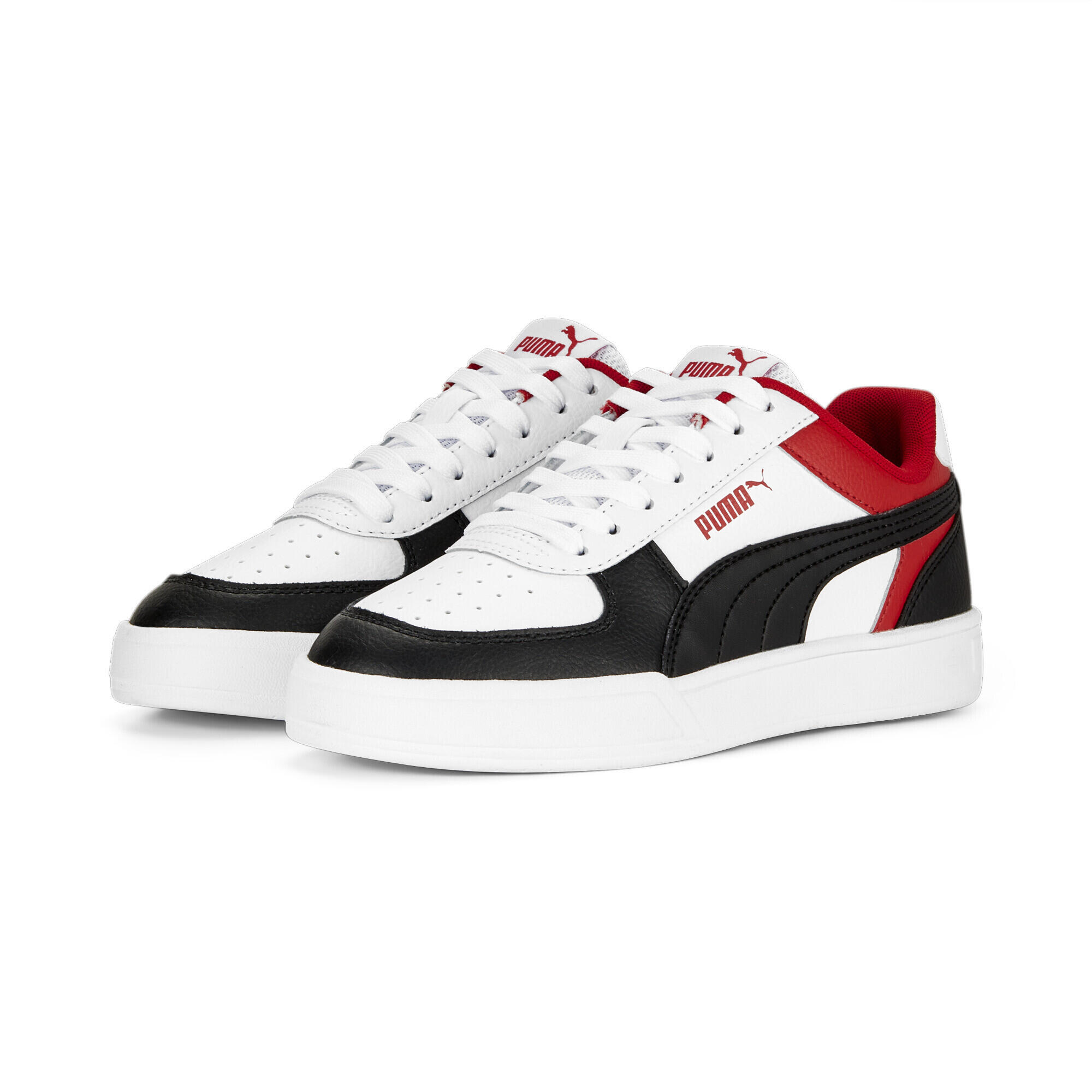 PUMA picture