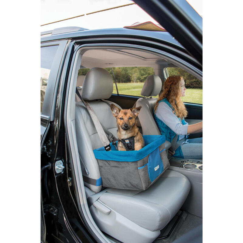 Justgreenbox - Rehausseur de siège d'auto pour chien avec ceinture