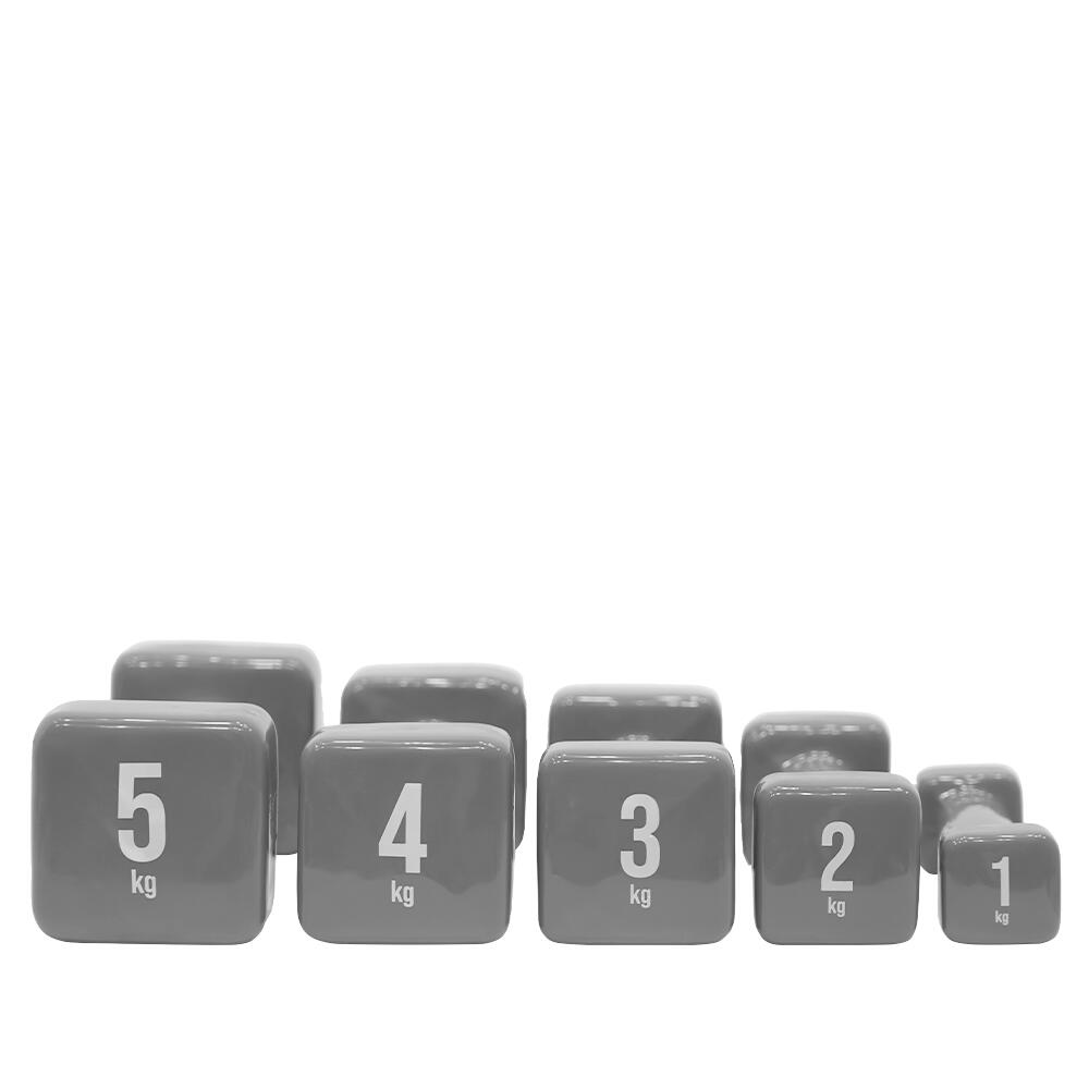 HALTÈRES DE VINYLE (PAIRE) 1KG 7/7