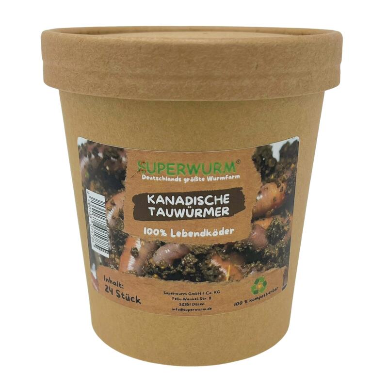24 Stück Kanadische Tauwürmer | 100% kompostierbare Köderdose