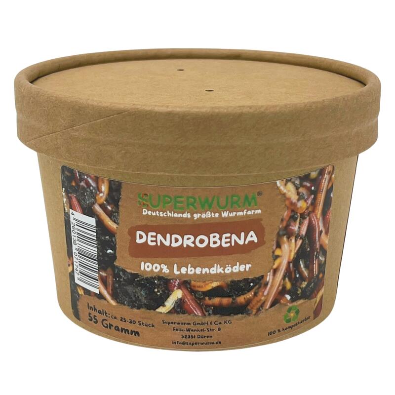55g Dendrobena Größe M-XL | 100% kompostierbare Köderdose