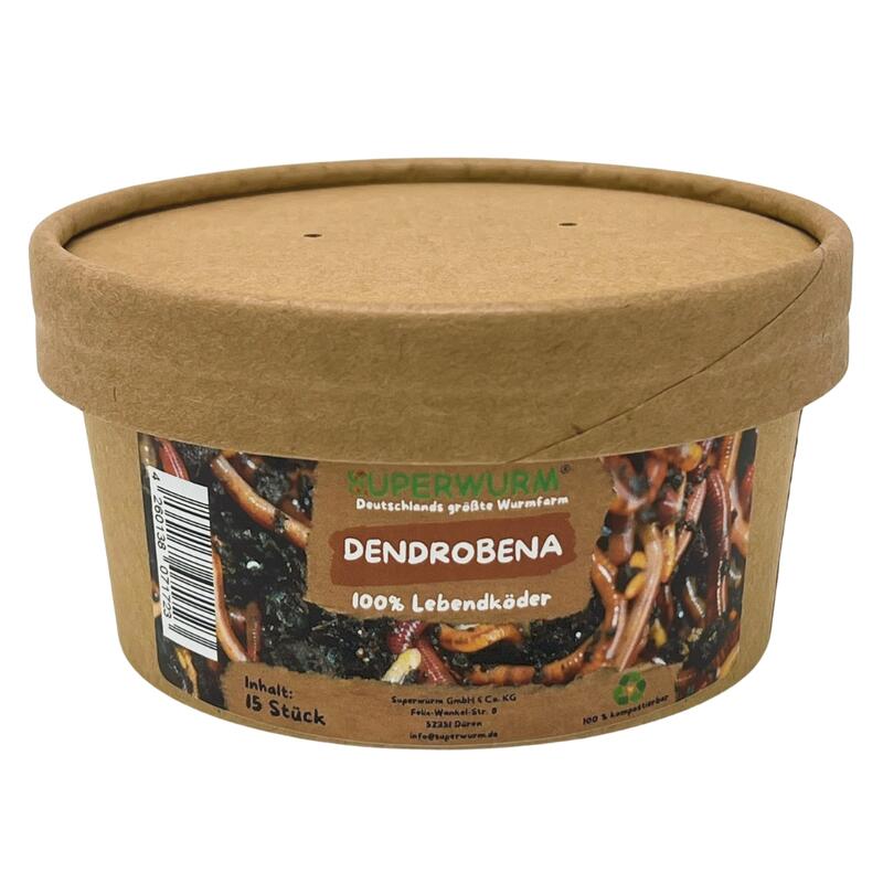 15 Stück Dendrobena Größe M-XL | 100% kompostierbare Köderdose