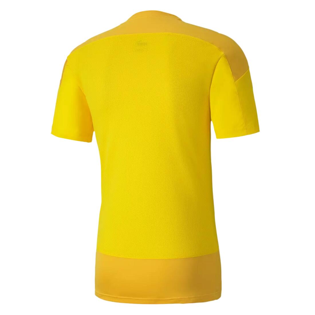 Puma Herren Trainingstrikot teamGOAL 23 Training Jersey 656482 2/3