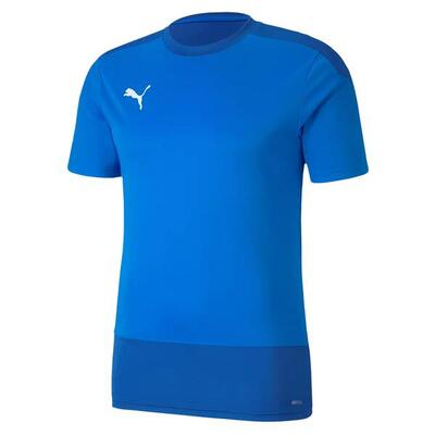 Short sleeve T-shirt teamGOAL 23 Training Jersey PUMA