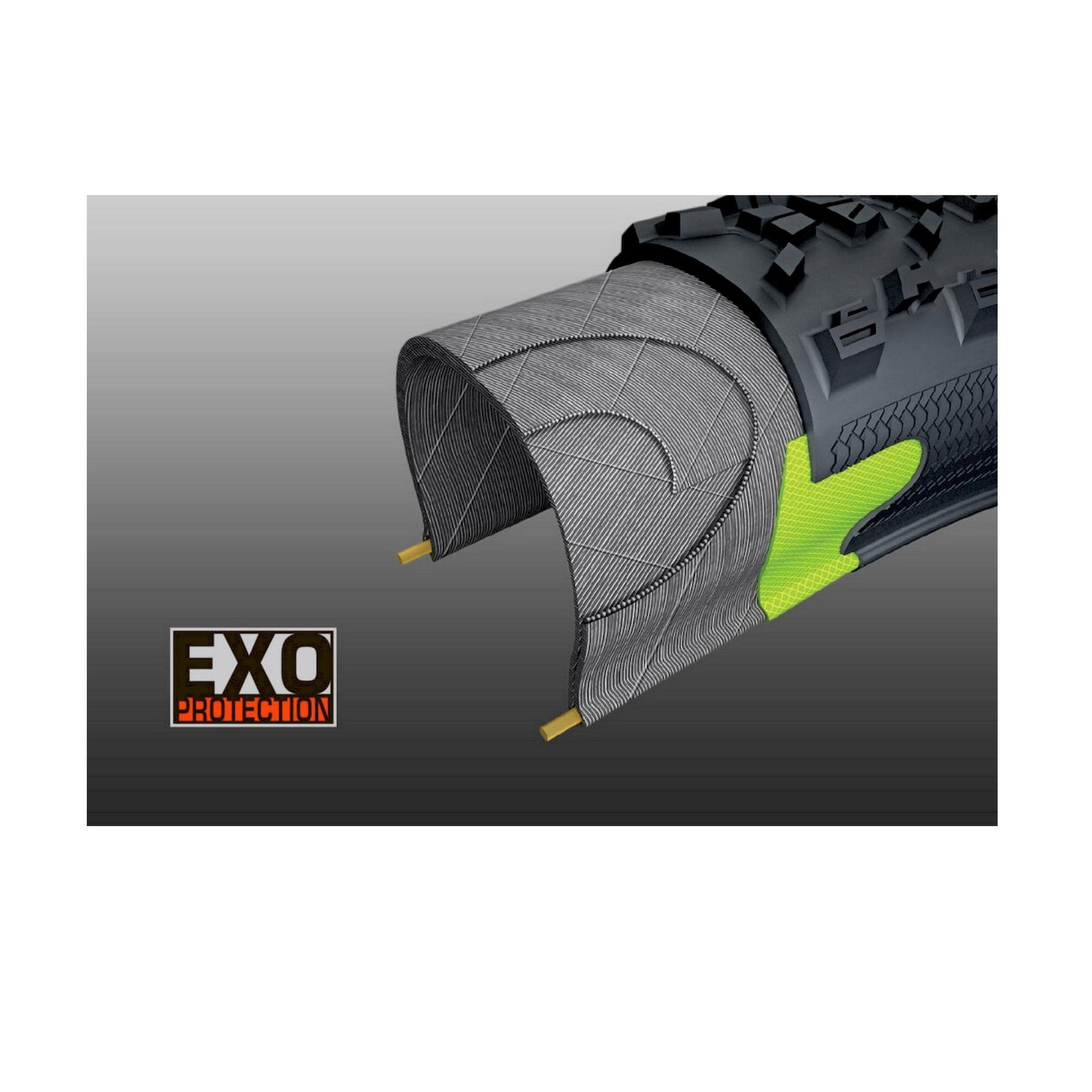 Pneumatico DISSECTOR - 27,5x2,60 - tr. morbido - 60 TPI - Exo / Tubeless Ready 4/4