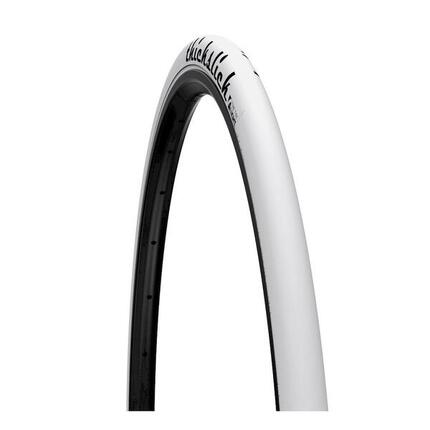 WTB ThickSlick 700x25c Buitenband Wit
