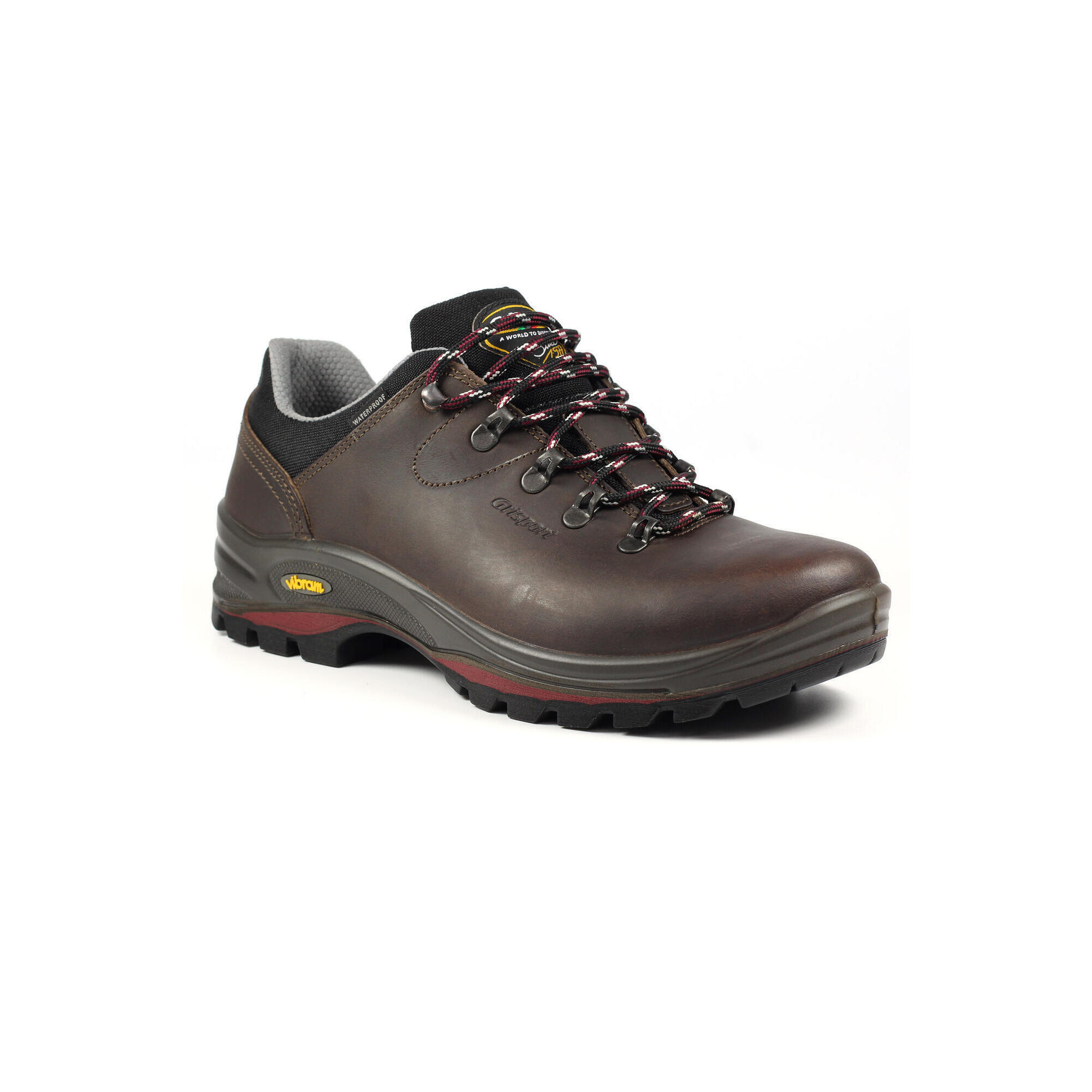 Dartmoor GTX Brown Waterproof Trekking Shoe 1/5