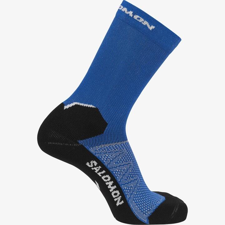 SALOMON picture