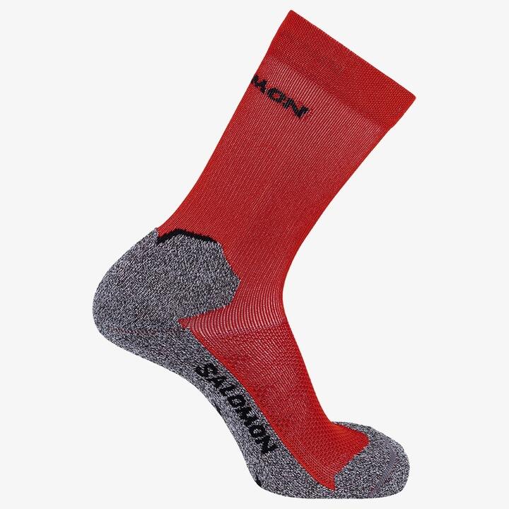 SALOMON picture