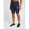 Hummel Shorts Hmlicons Regular Shorts