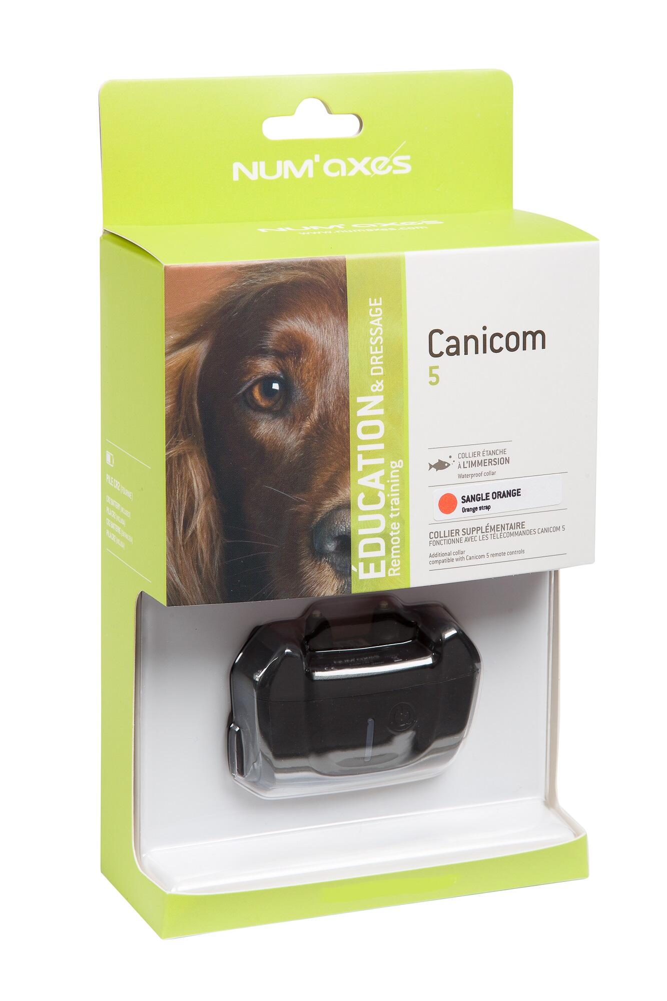 Collare singolo di addestramento per cani con cinturino Num'axes Canicom 5 3/3