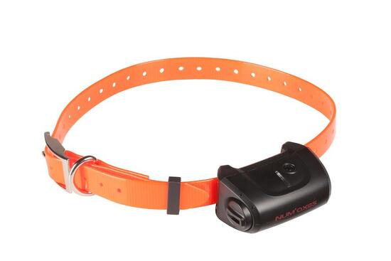 Collier de dressage pour chien - CANICOM 5