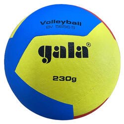 Volley-ball des jeunes 230