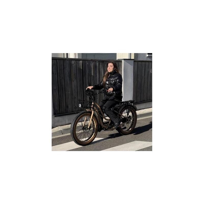 Vélo électrique Fat Bike Homme Connecté