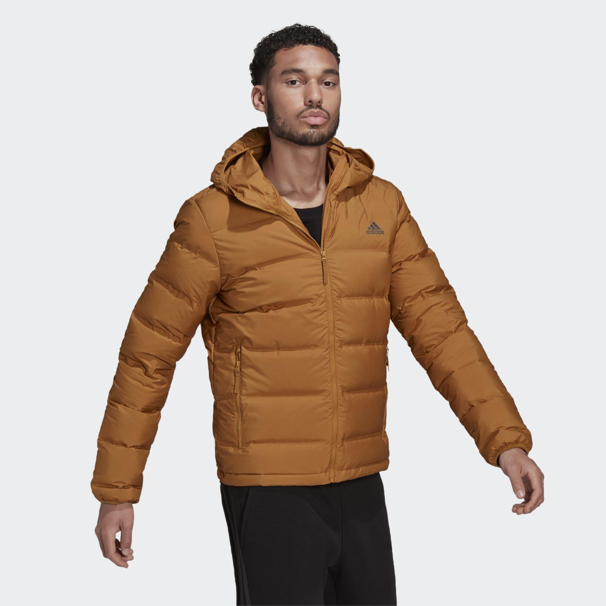 ADIDAS picture