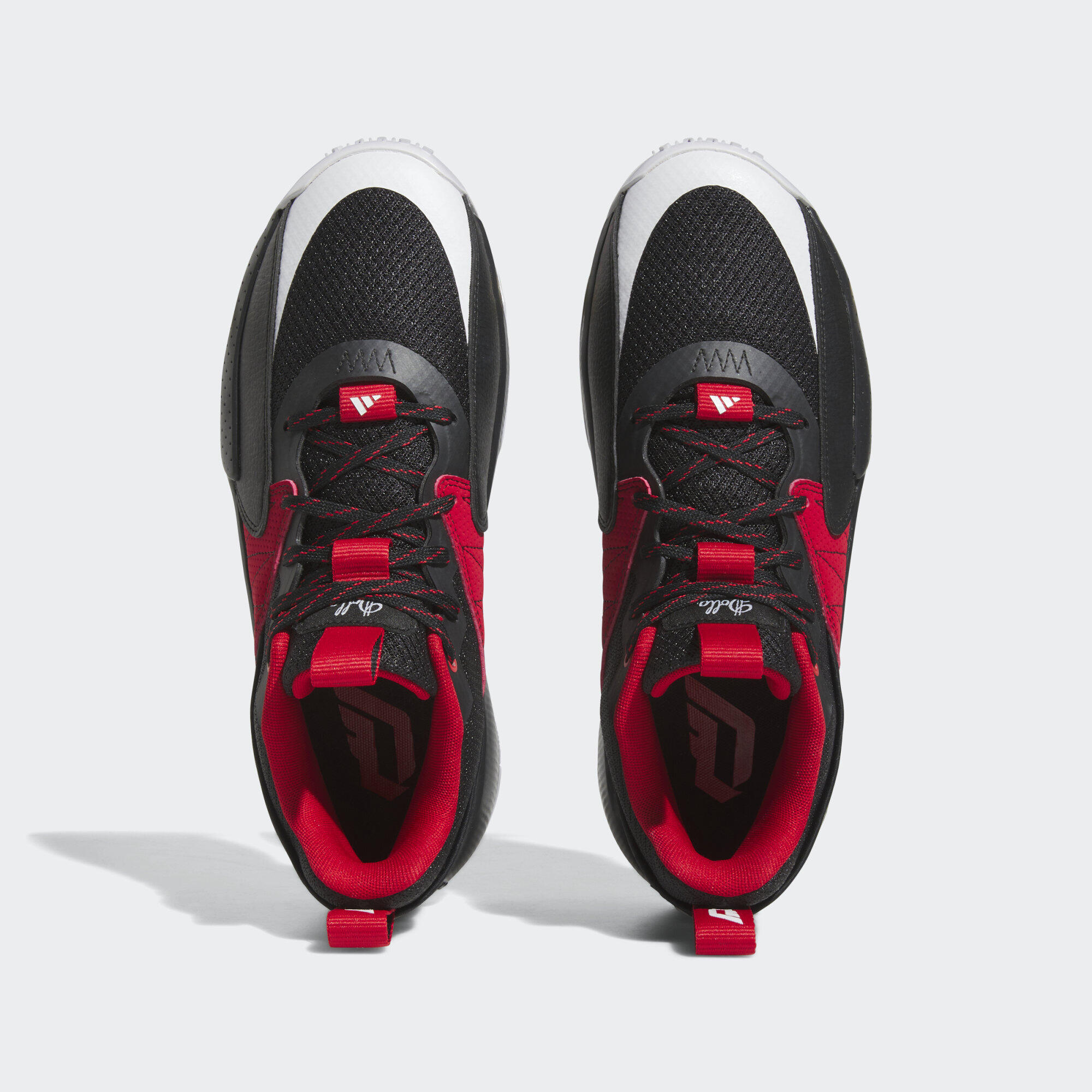Zapatilla Dame Extply 2.0 3/7