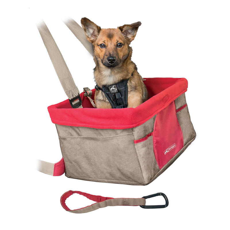 Panier de transport pour chien : critères de choix, prix - PagesJaunes