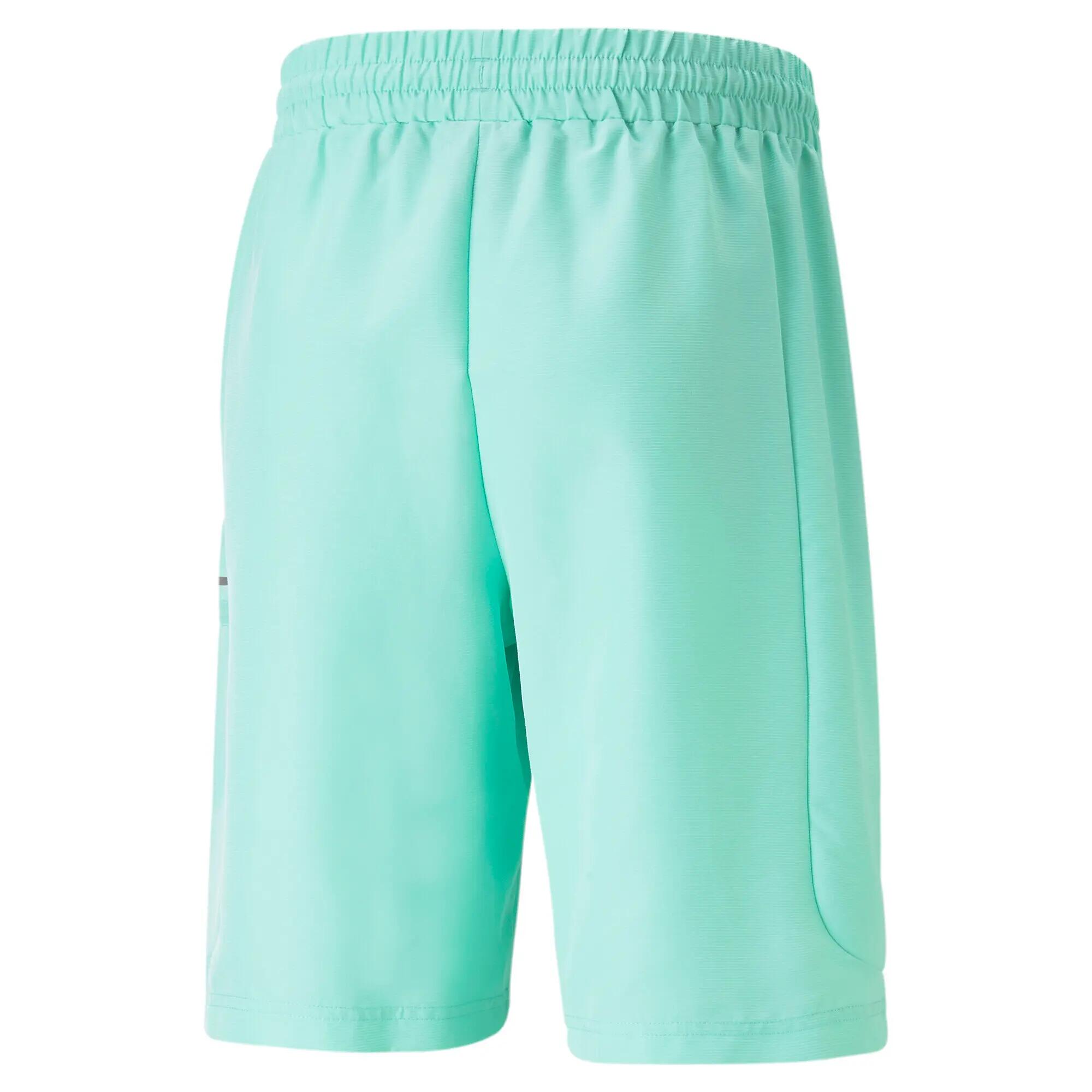 Corto Puma MAPF1 Statement 2/7