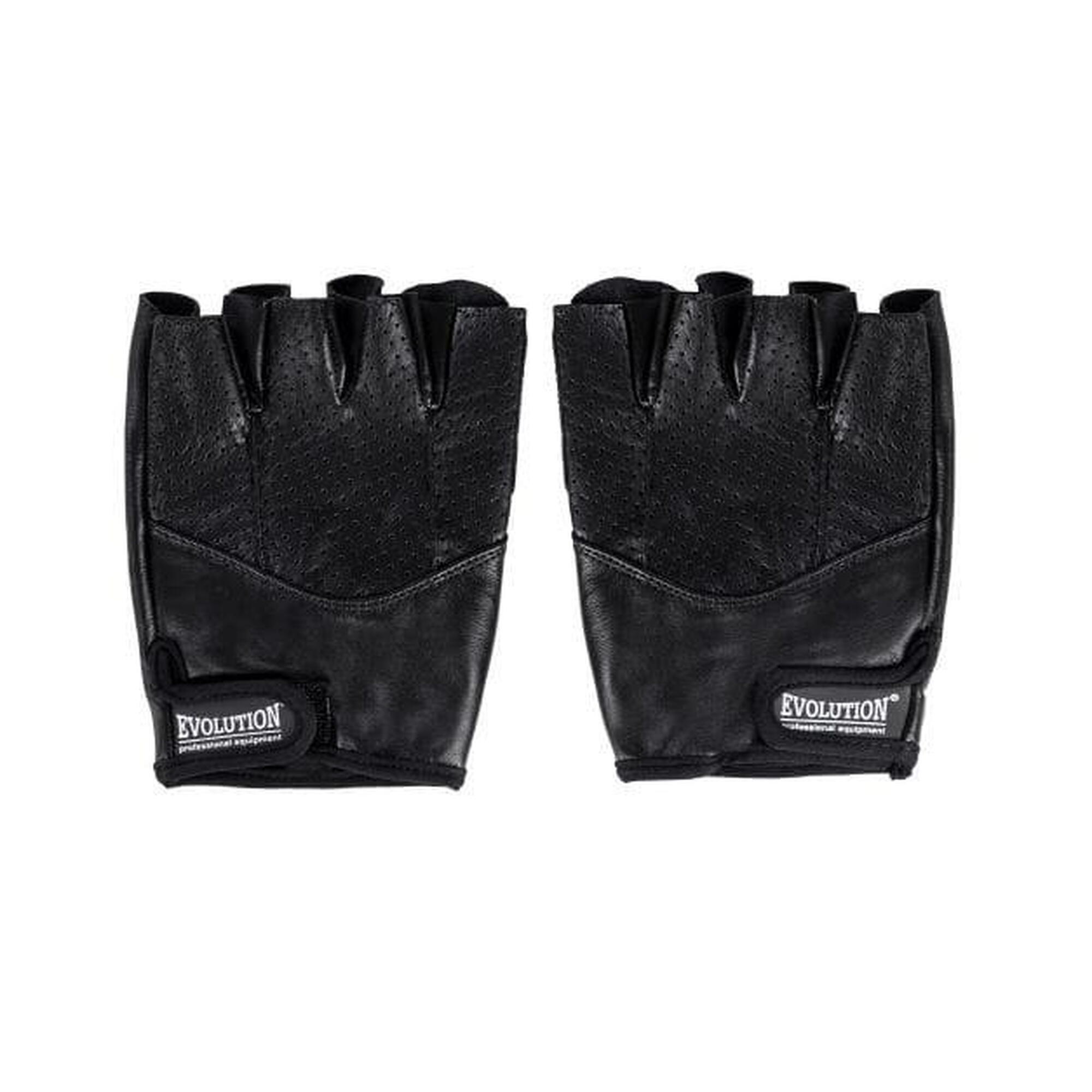 EVOLUTION PROFESSIONAL EQUIPMENT picture