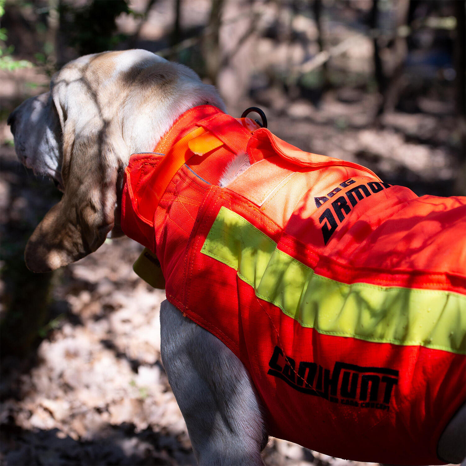 Gilet de protection pour chien de chasse DOG ARMOR V3 CANIHUNT 4/9