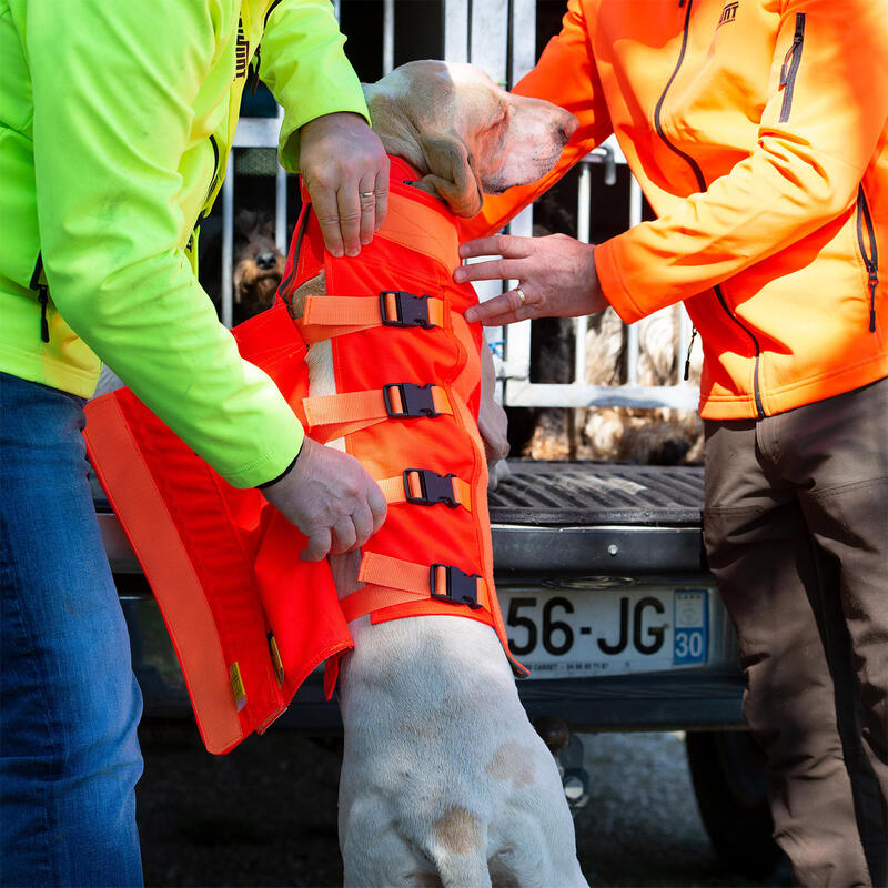 Colete DOG ARMOR V3 laranja para cães de caça