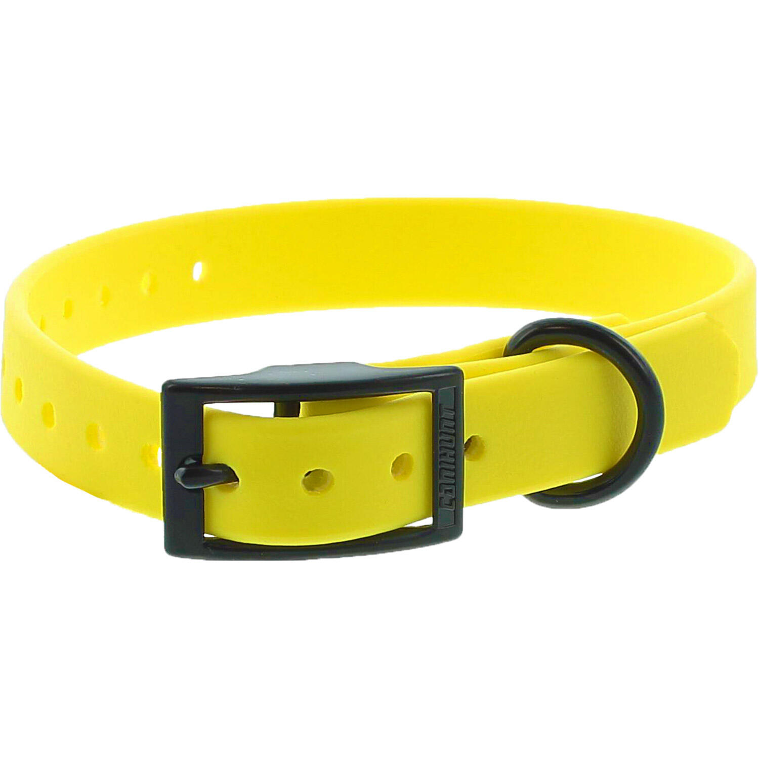 Ceinture pour courir avec son chien decathlon outlet