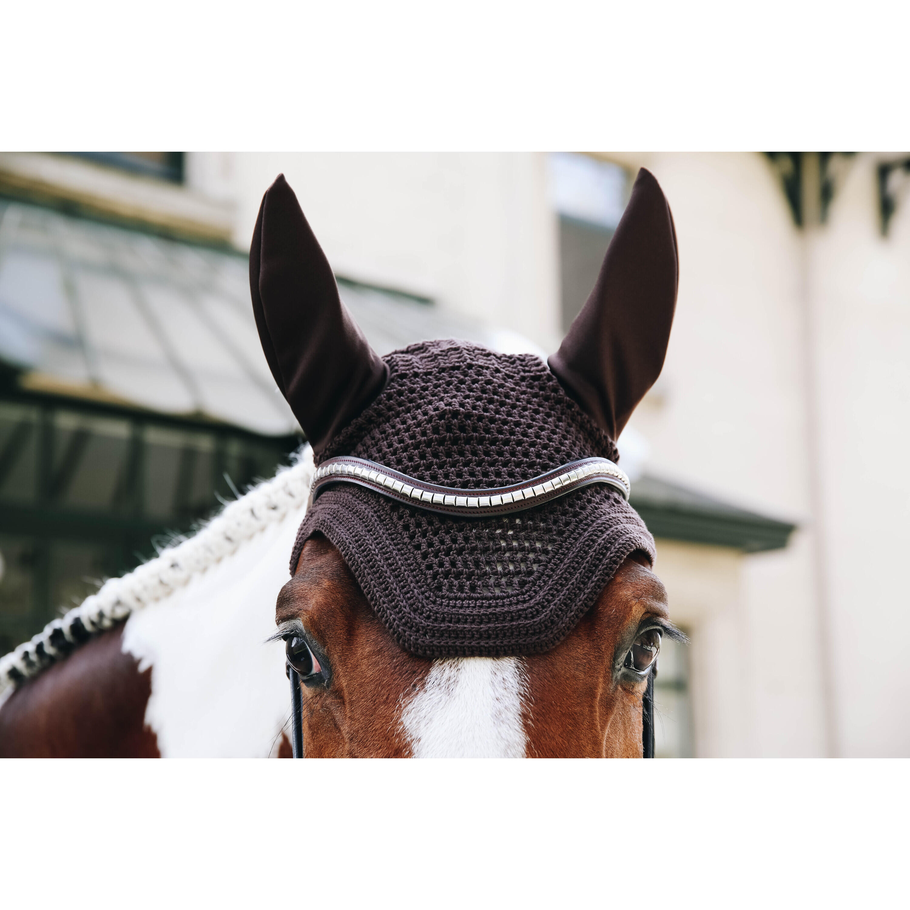 Bonnet anti-mouche Wellington choco L 2/3