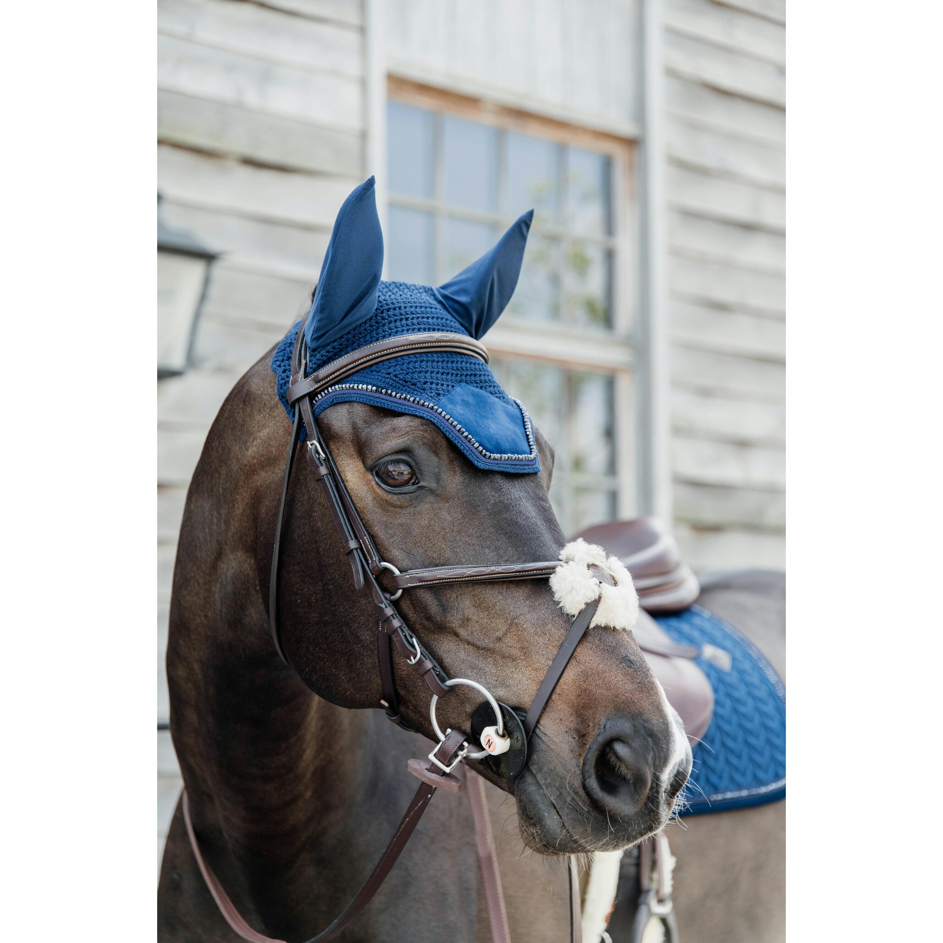 Wellington Oornetje - Velvet Pearls - Marine - Voor Paard 2/5