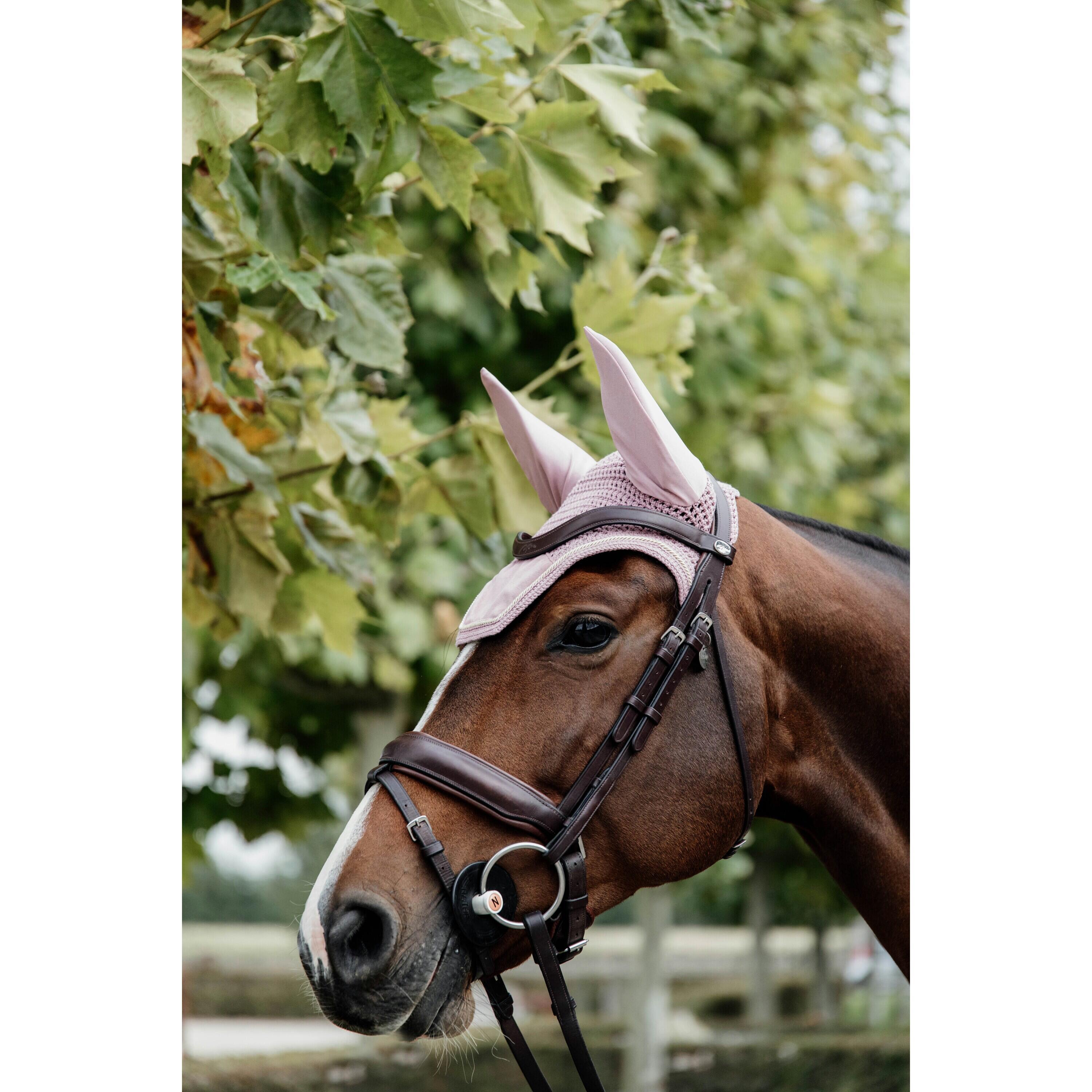 Wellington Oornetje - Velvet - Oud Roos - Voor Paard 2/5