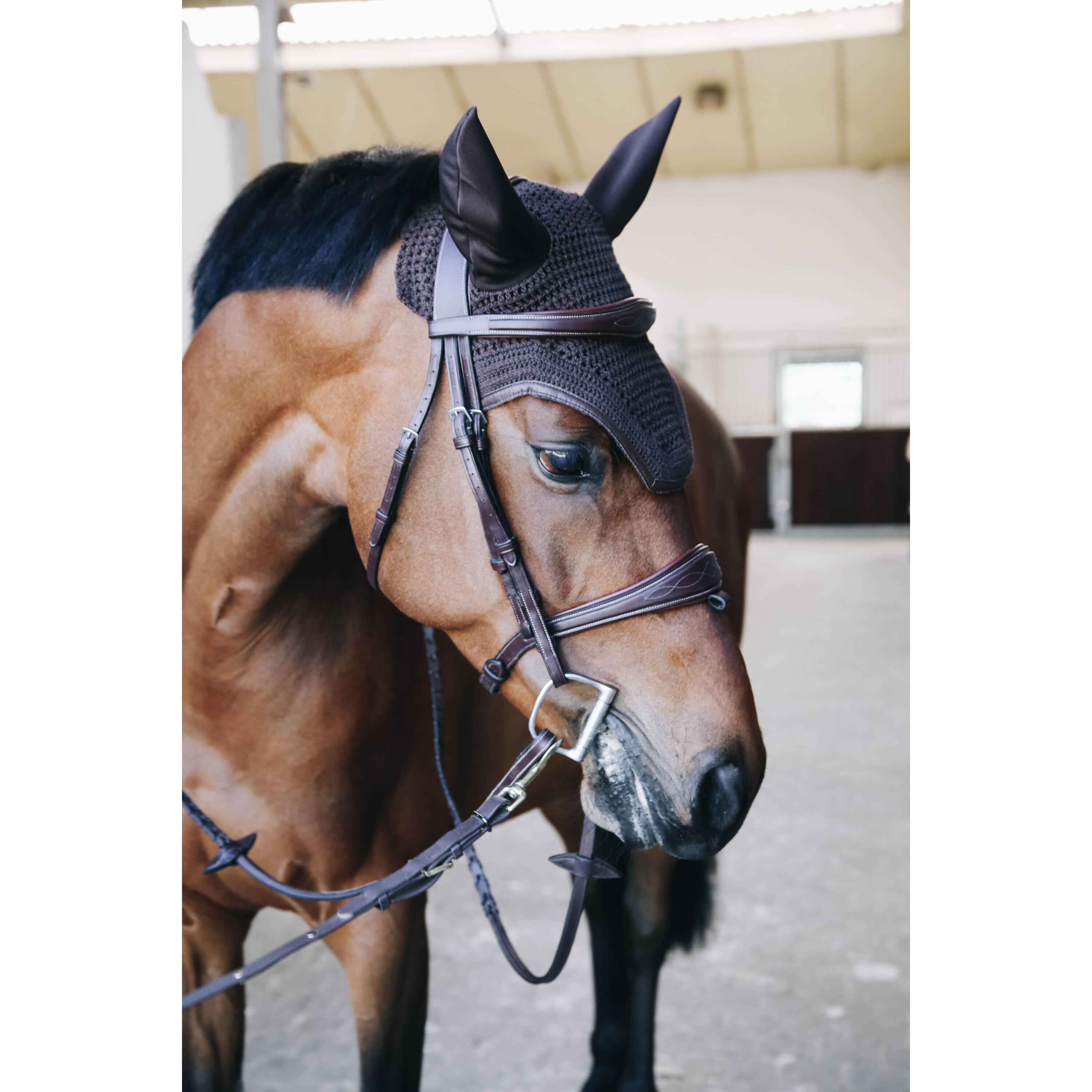 Bonnet anti-mouche Wellington leather choco 2/3