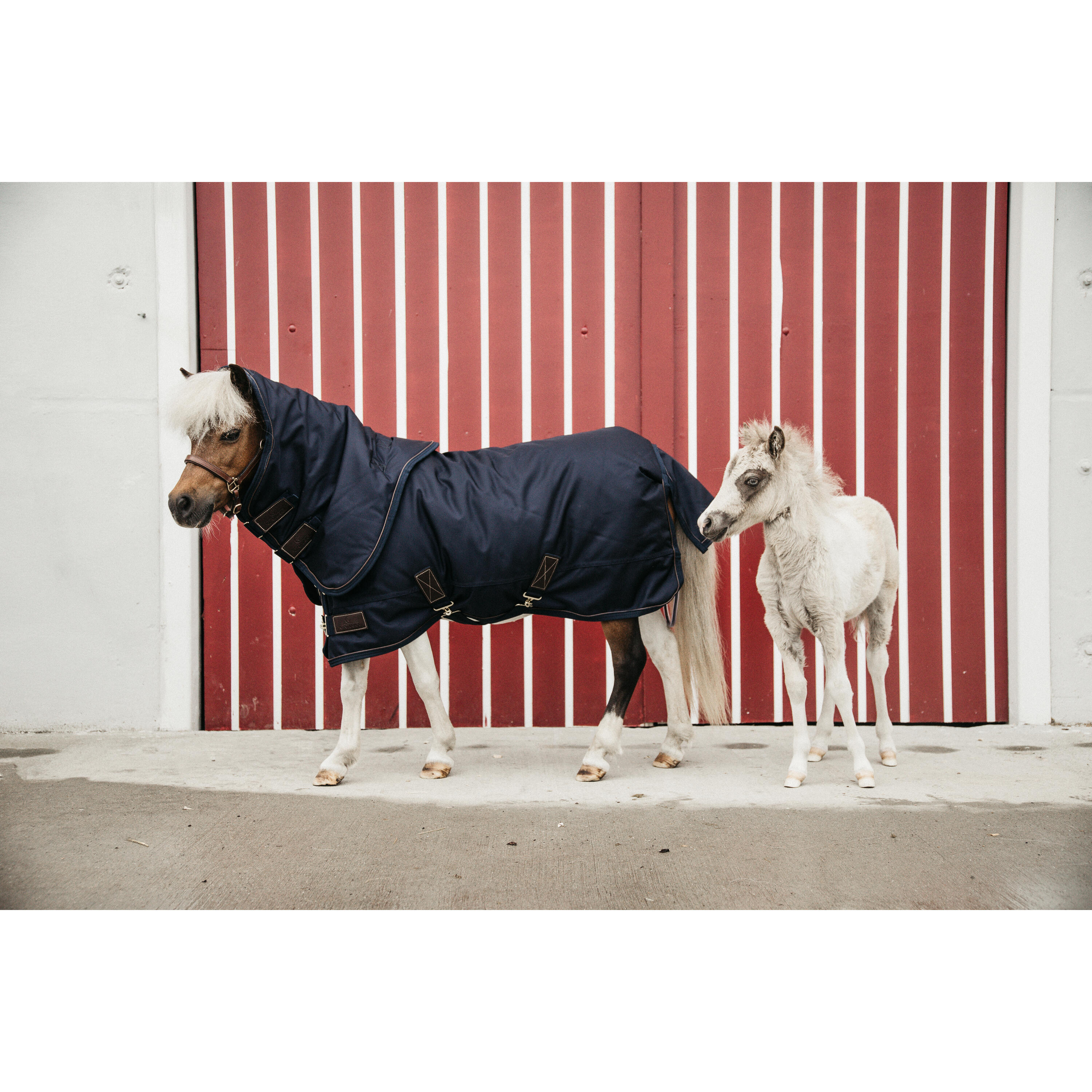 Winterdeken - 1680D - 80 cm / 4'0 - Vegan konijnenvacht - Marineblauw 2/5