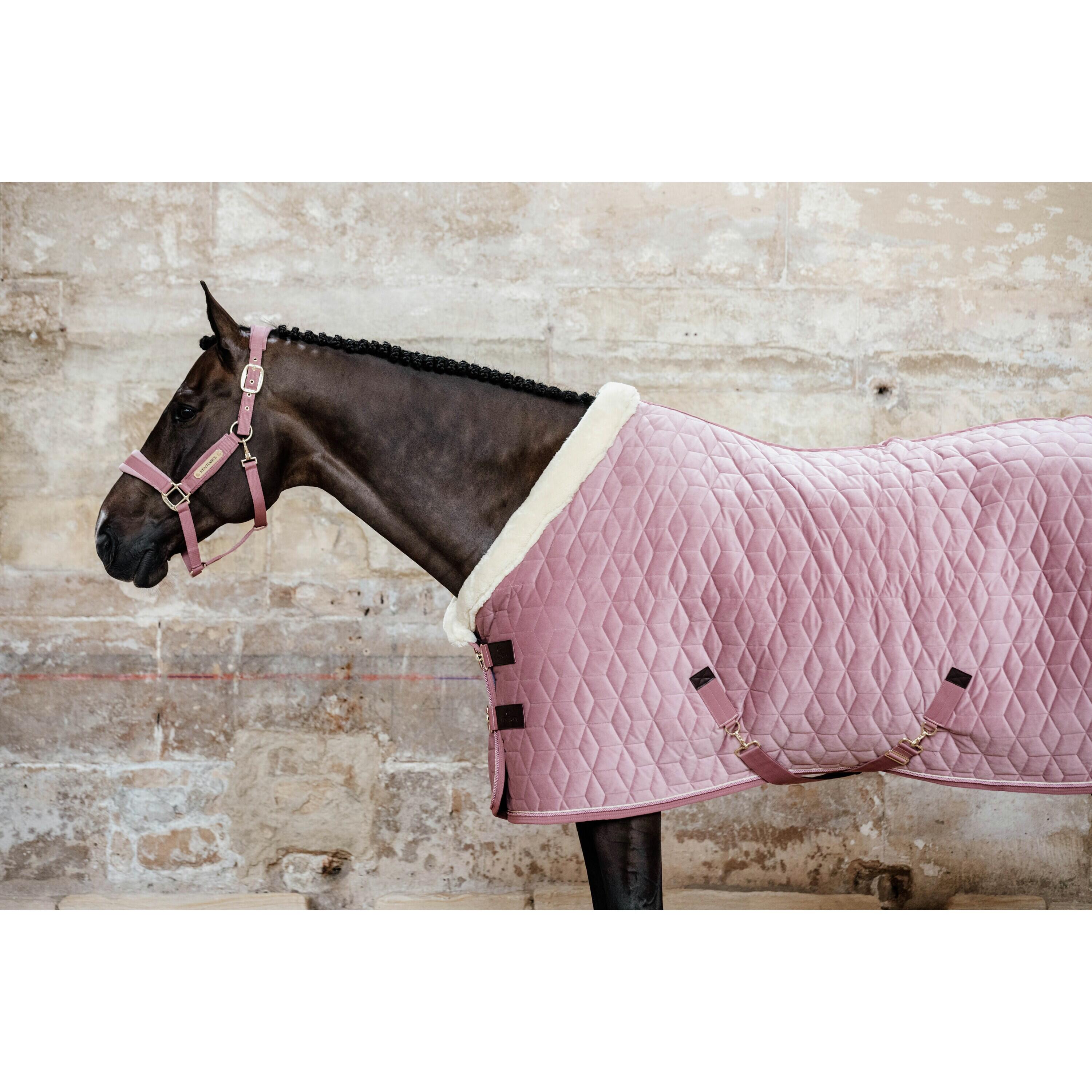 Show Rug velvet vieux rose 125-5'9 160g 2/5
