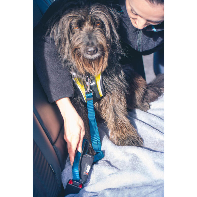 Laisse Confort Boucle Sécurité Auto I-DOG - Violet 70 à 100cm