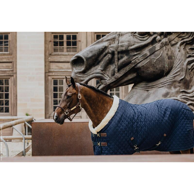 Paardrijden - Unisex -  Navy - -show Rug