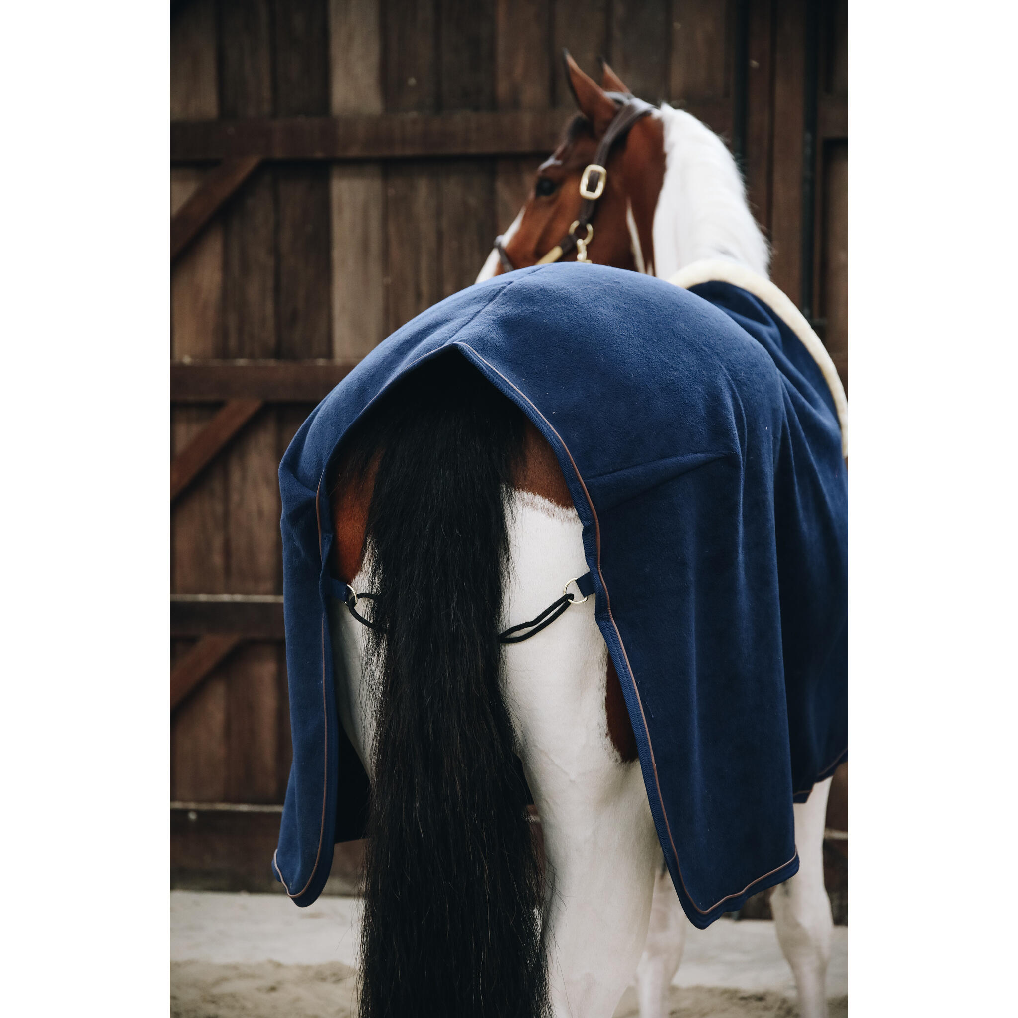 Coperta di presentazione per cavalli Kentucky Show Heavy 2/7