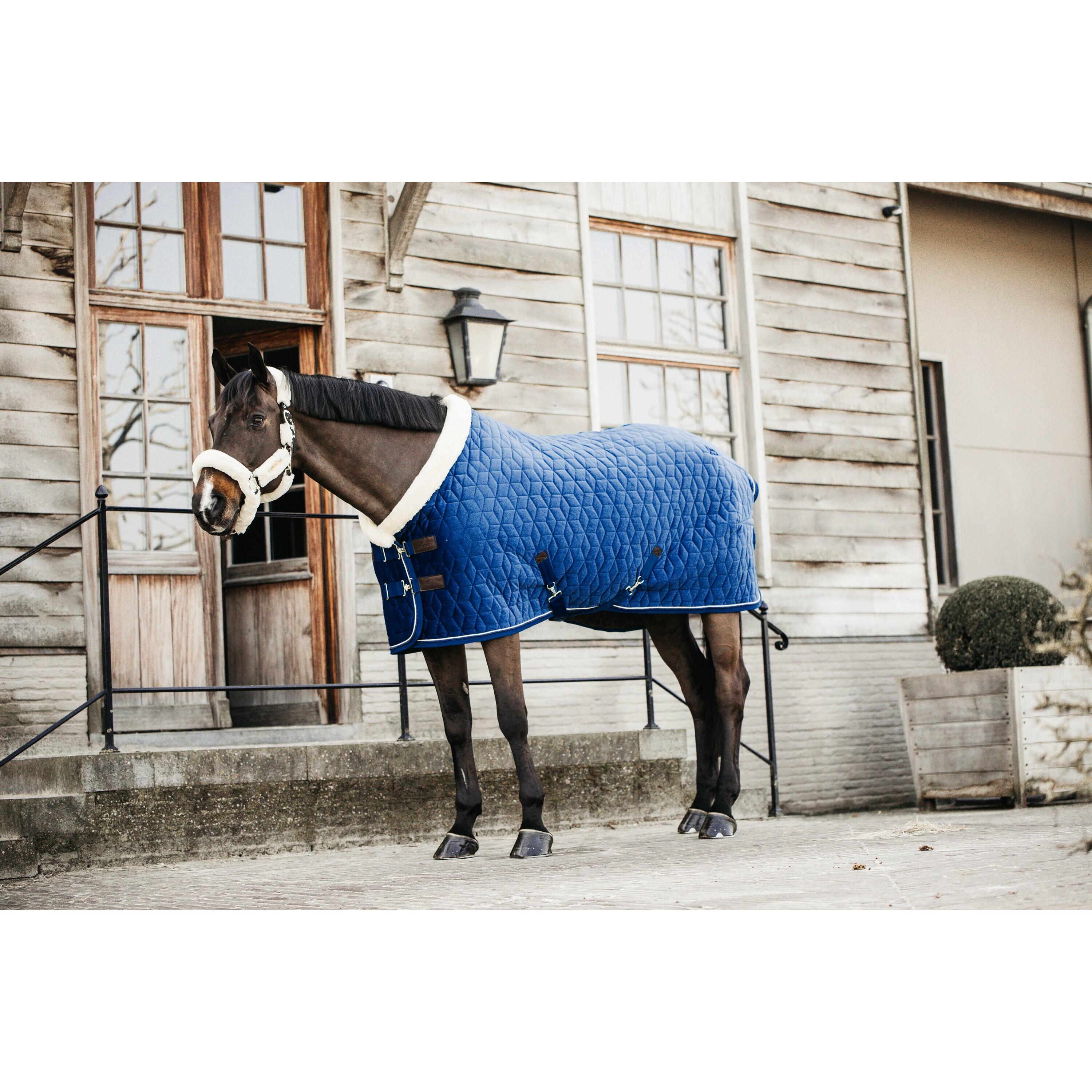 Coperta da stalla in velluto Kentucky 160g 2/5