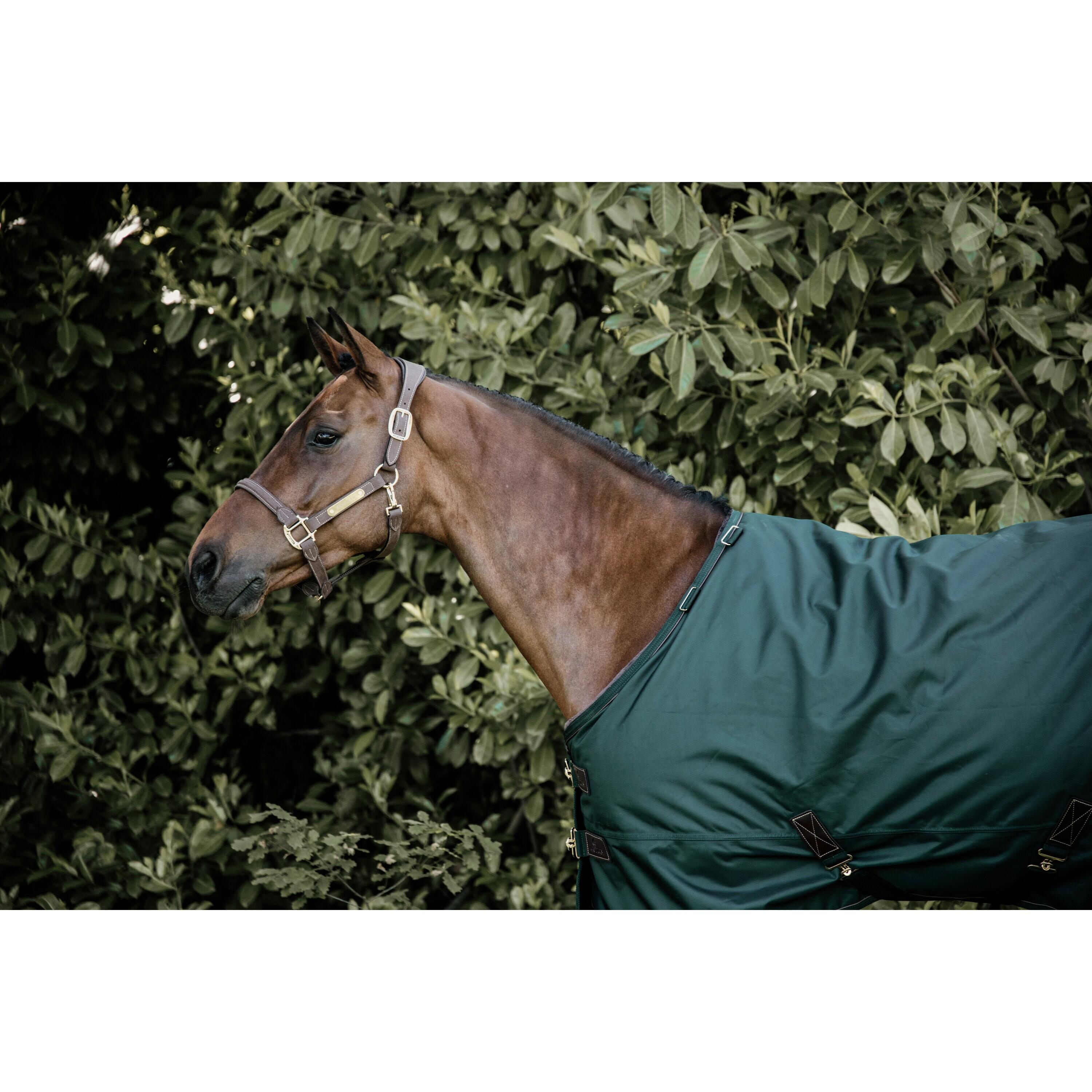 Coperta impermeabile da esterno Kentucky All Weather Pro 160 g 2/5