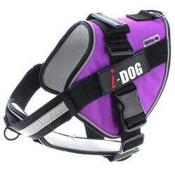 Harnais NeoCITY I-DOG Coloris Violet et Gris