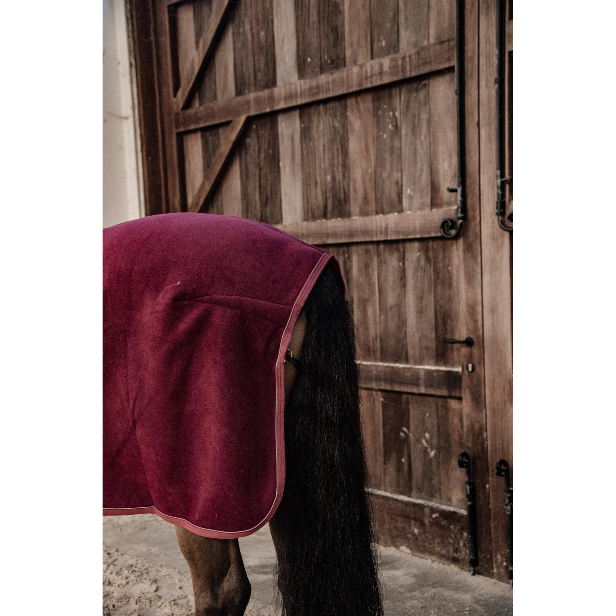 Manta de presentación para caballos Kentucky Show Heavy 5/5