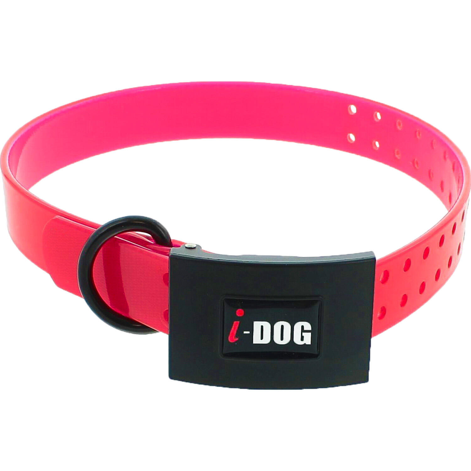 I-DOG picture