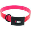 Collier PREMIUM I-DOG 2.5 x 65cm