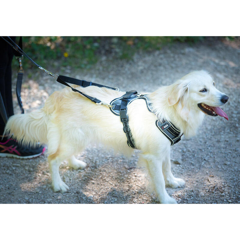 Verstelbare STYLE leiband voor 2 honden + treksysteem - kleur zwart
