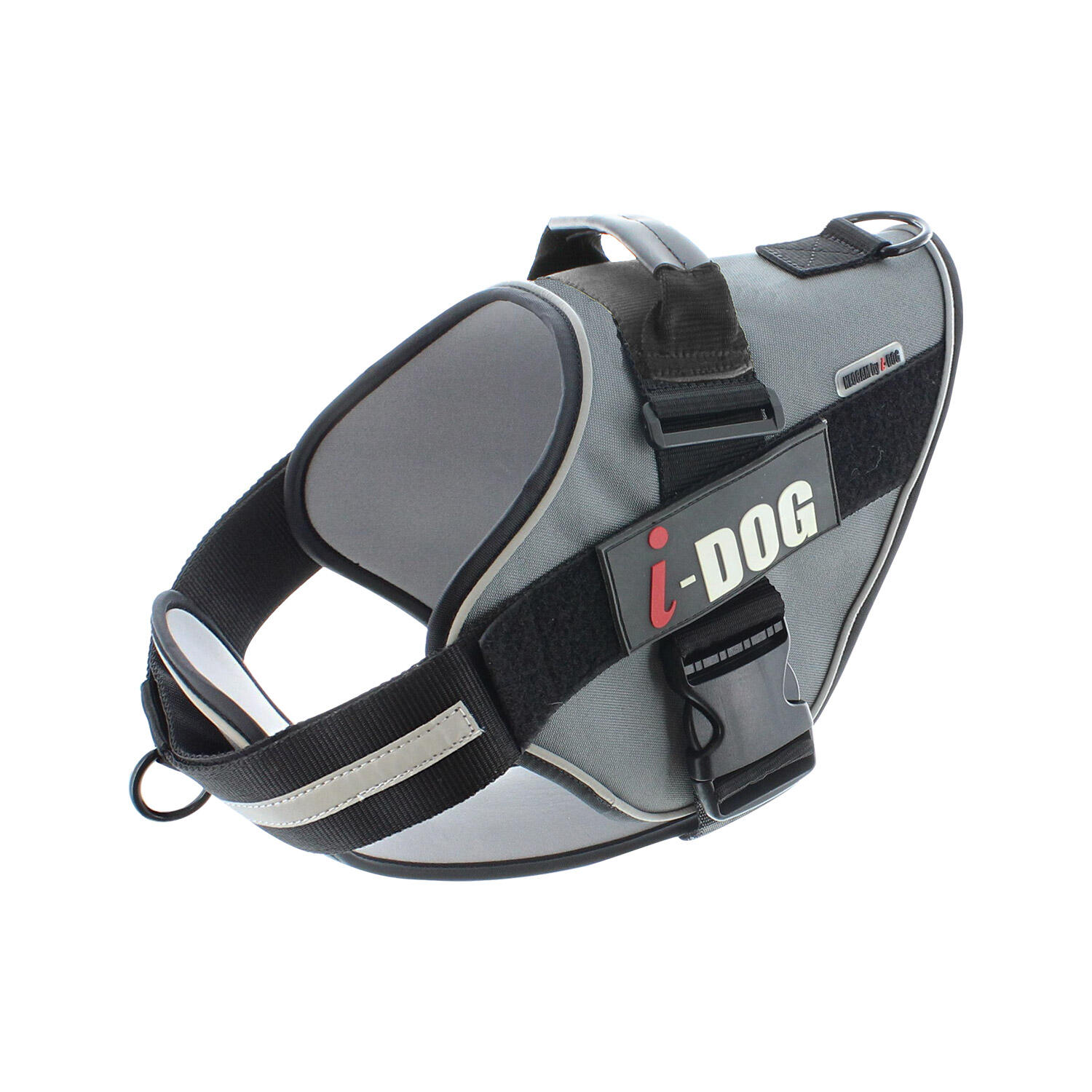 I-DOG picture