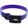 Collier PREMIUM I-DOG 2.5 x 65cm