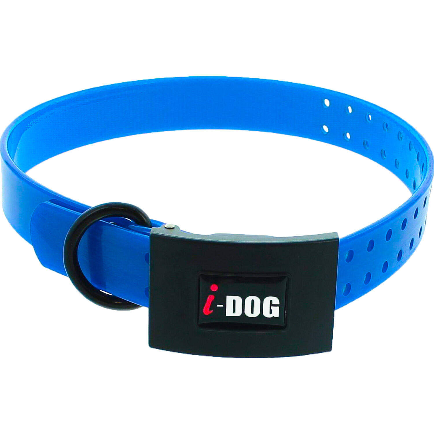 I-DOG picture